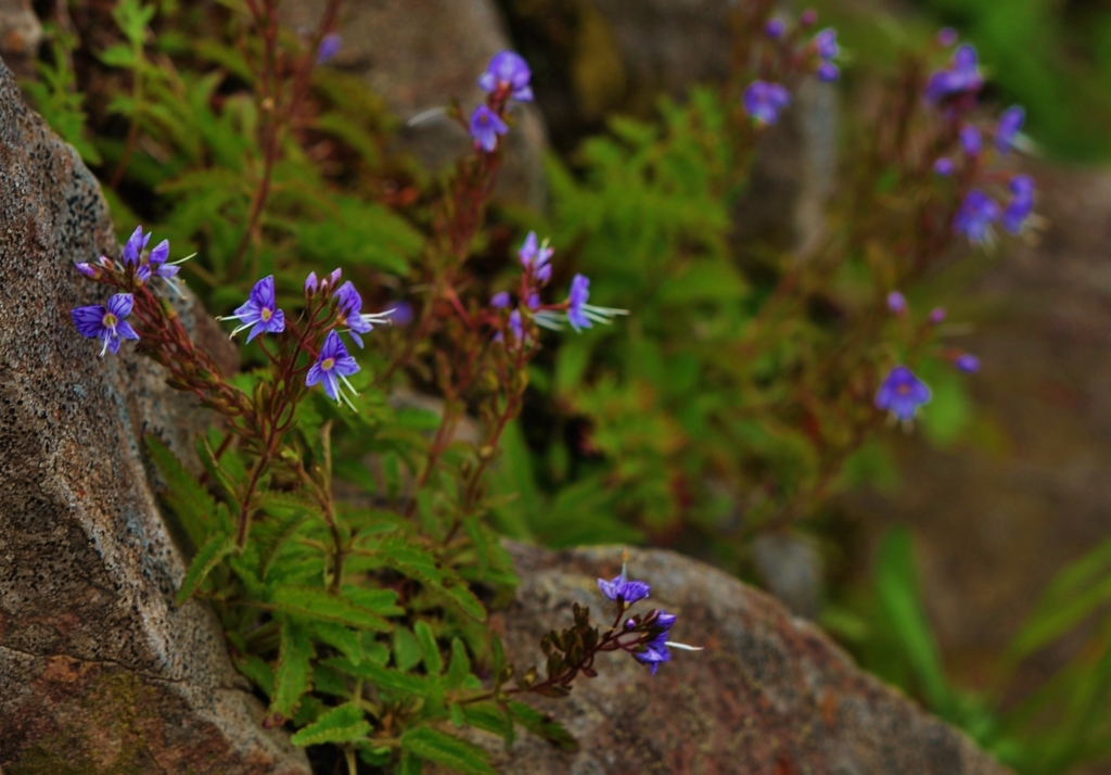 f:id:JKazy:20160630005007j:plain