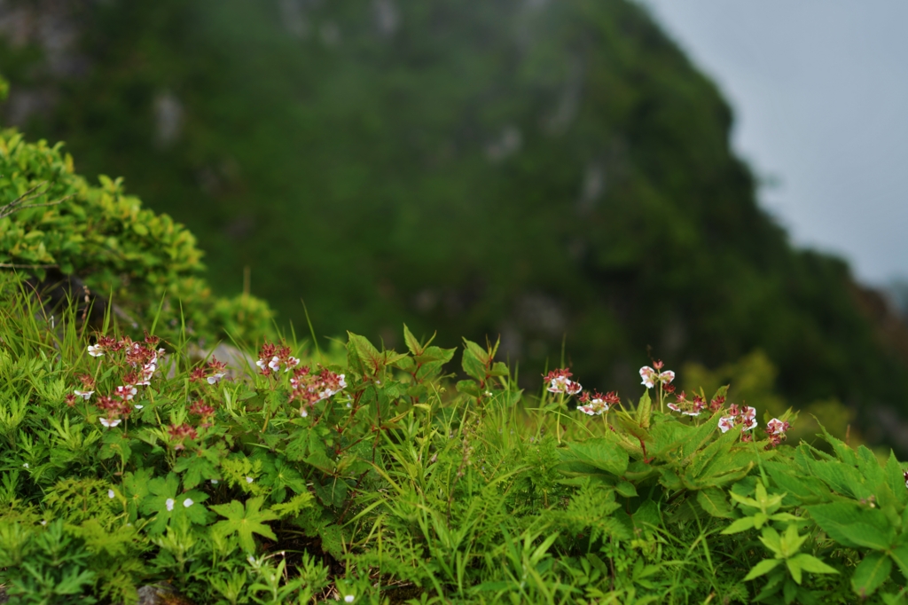 f:id:JKazy:20160630010453j:plain