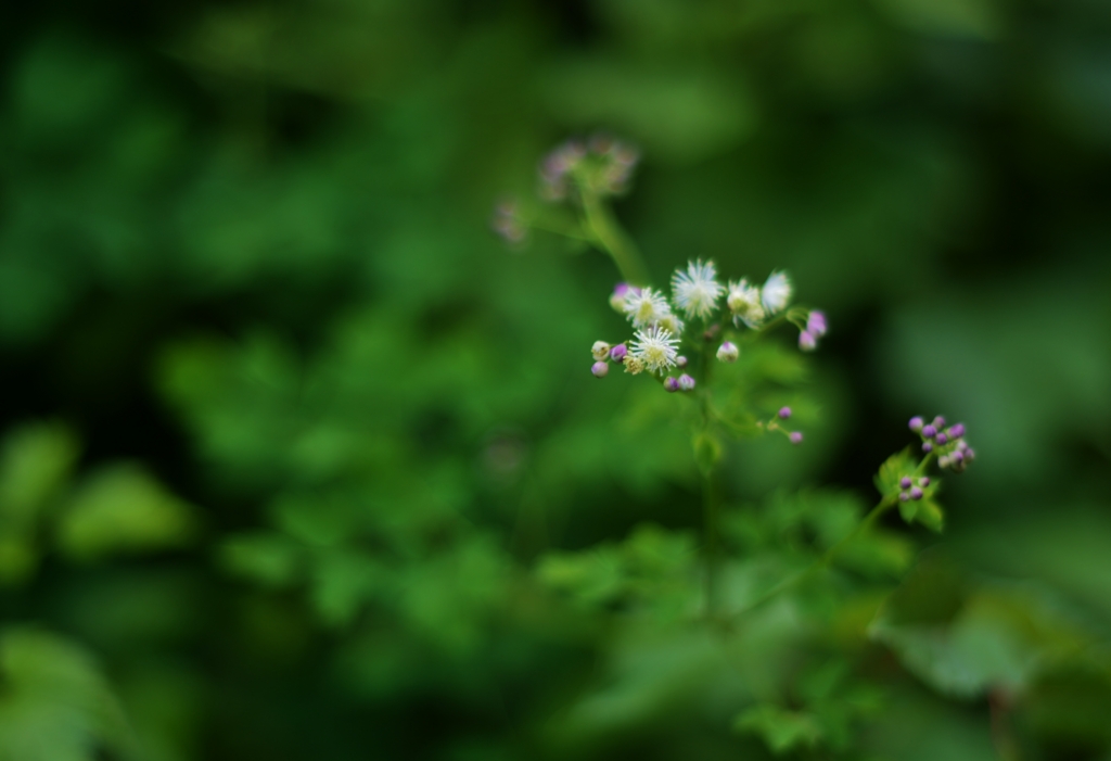 f:id:JKazy:20160630012335j:plain