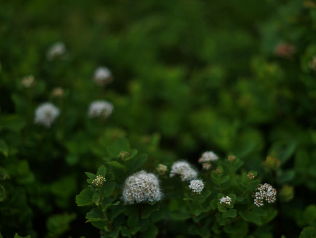 f:id:JKazy:20160630013058j:plain