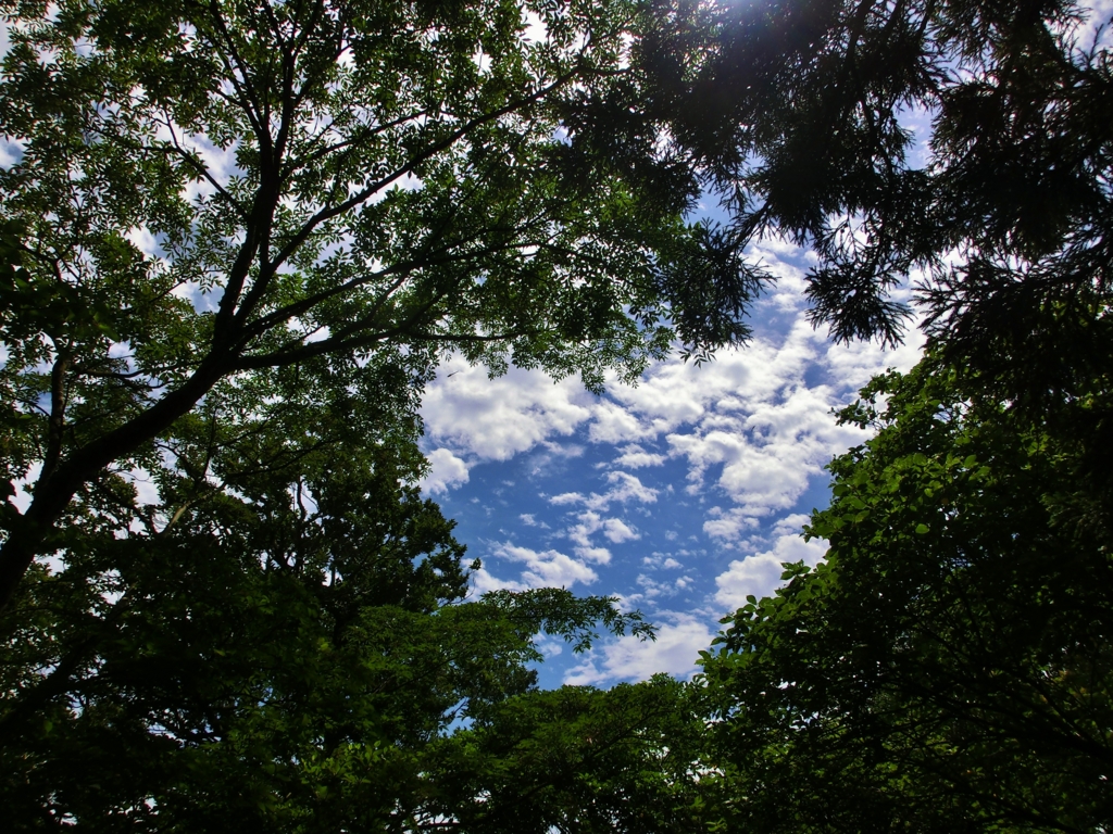 f:id:JKazy:20160704085057j:plain