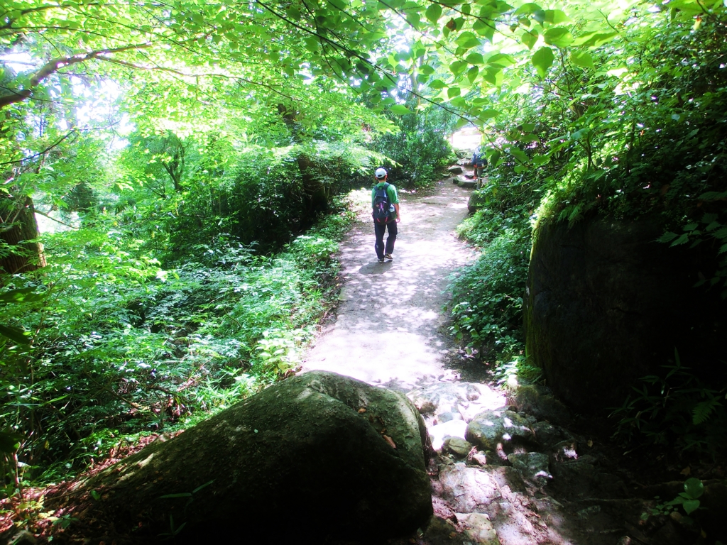 f:id:JKazy:20160704085229j:plain