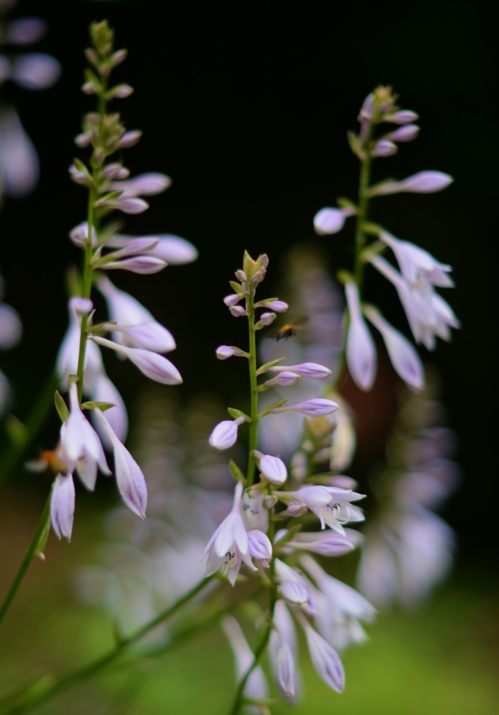 f:id:JKazy:20160704092142j:plain