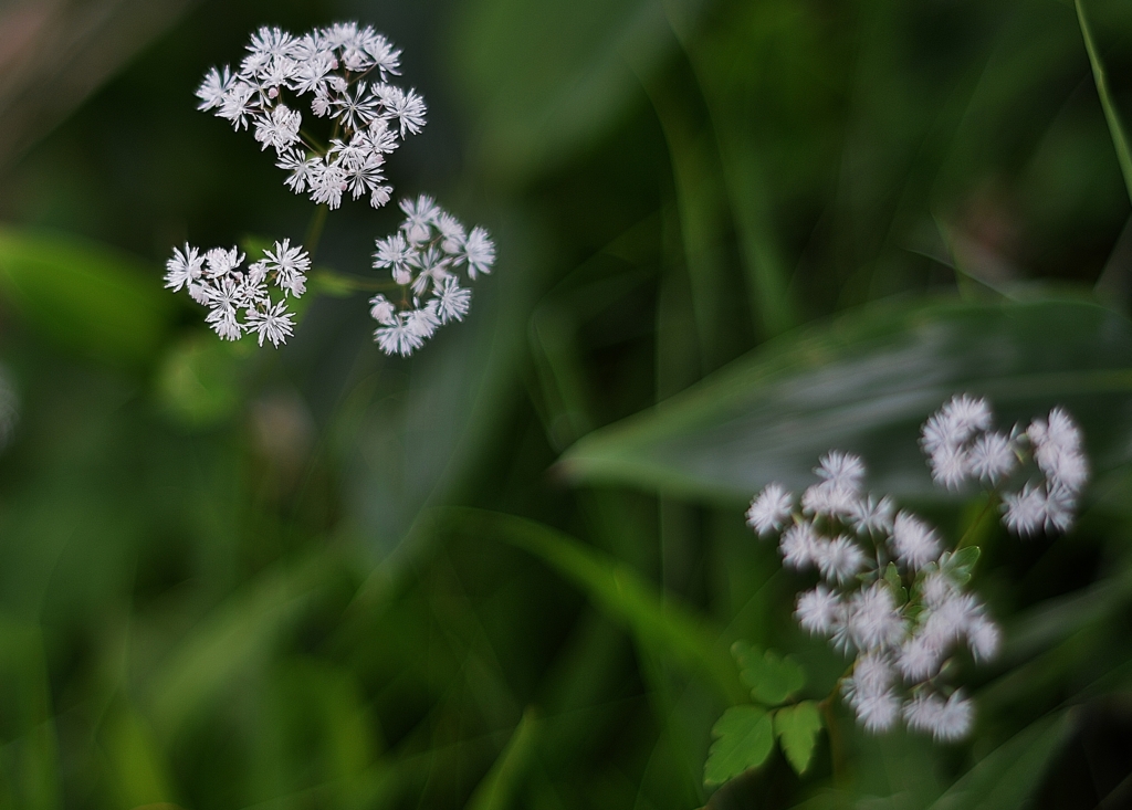 f:id:JKazy:20160708161335j:plain