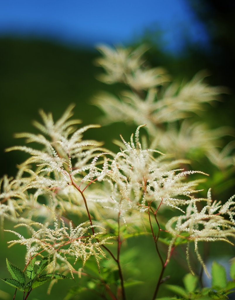 f:id:JKazy:20160712235637j:plain f:id:JKazy:20160712235637j:plain