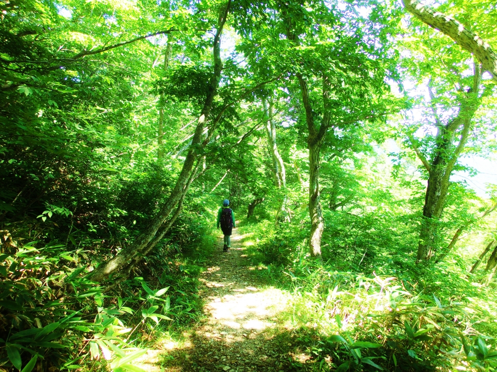 f:id:JKazy:20160713001827j:plain f:id:JKazy:20160713001827j:plain