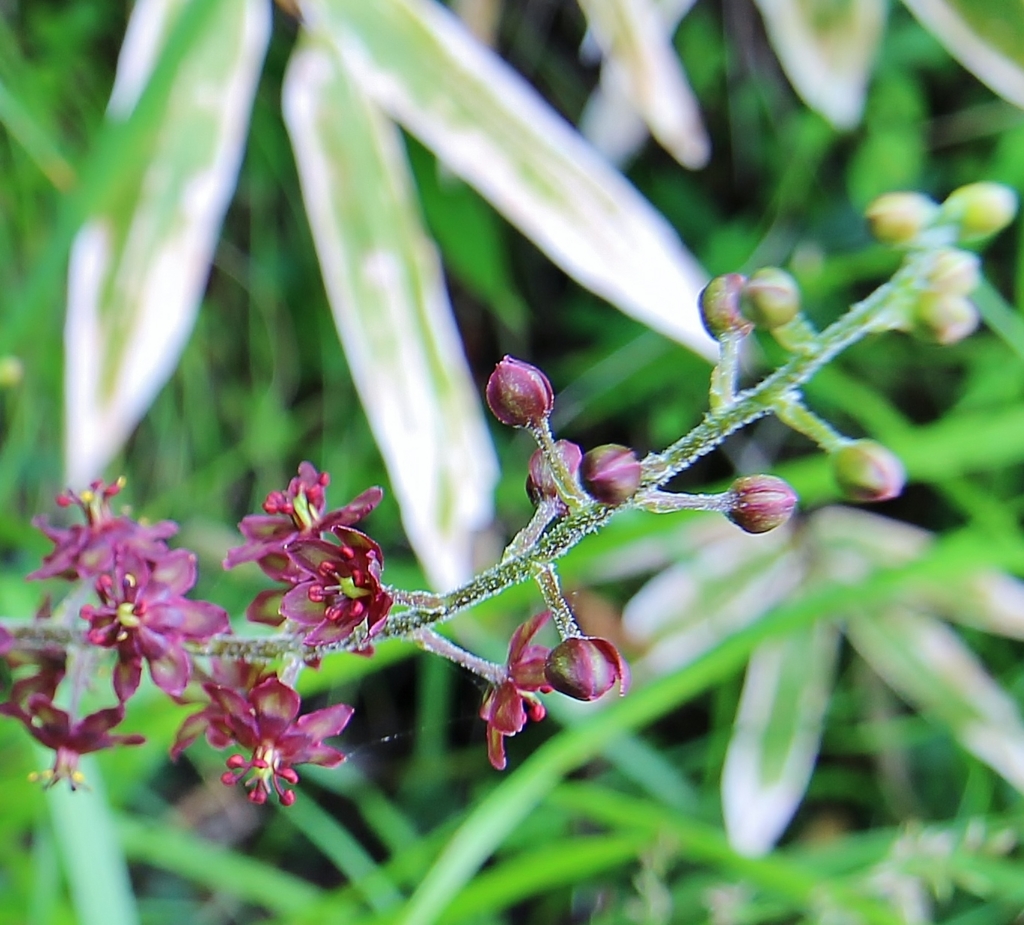 f:id:JKazy:20160730181747j:plain f:id:JKazy:20160730181747j:plain