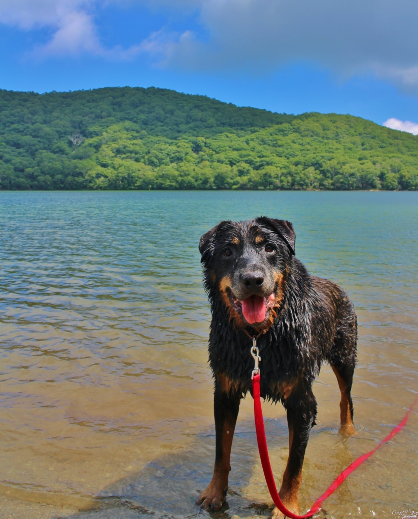 f:id:JKazy:20160730181821j:plain f:id:JKazy:20160730181821j:plain