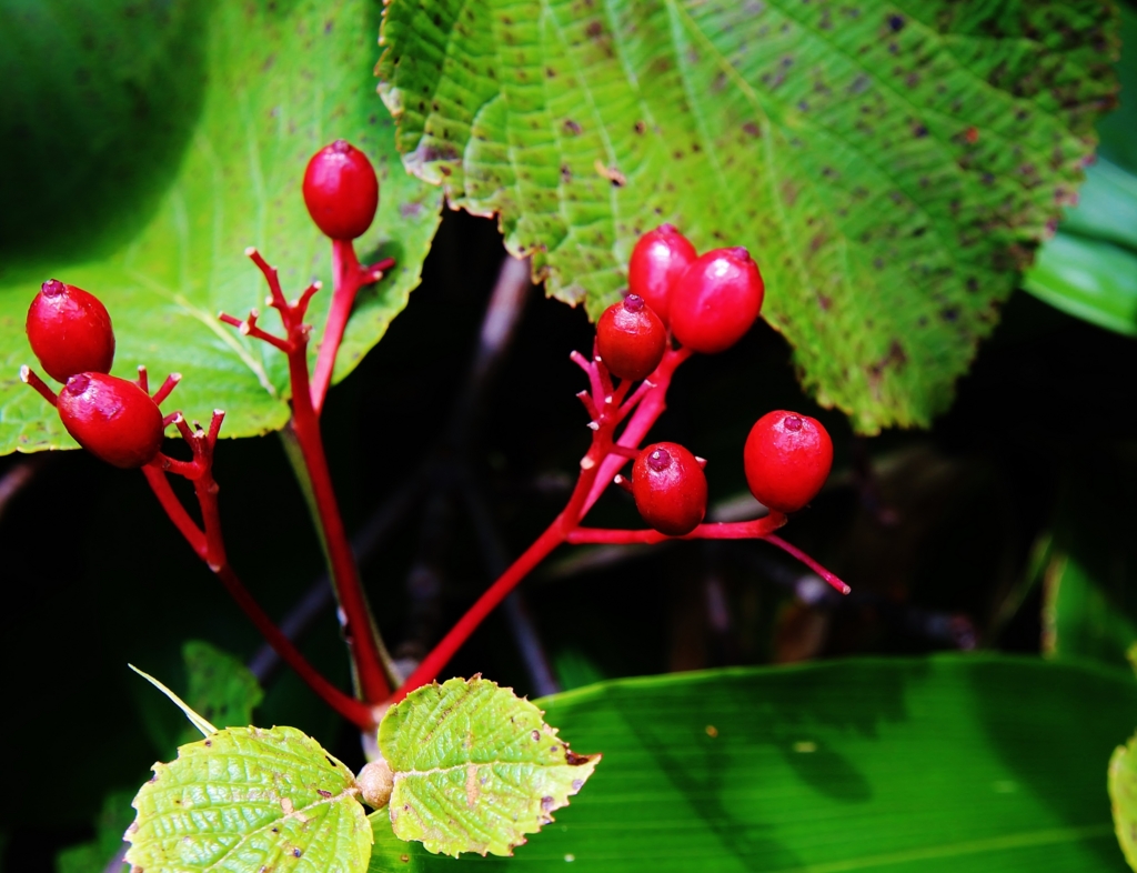 f:id:JKazy:20160805072548j:plain f:id:JKazy:20160805072548j:plain