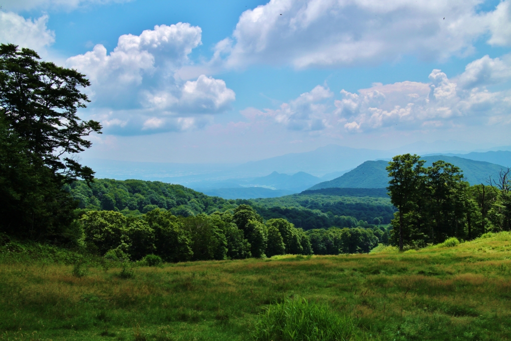 f:id:JKazy:20160805072711j:plain f:id:JKazy:20160805072711j:plain