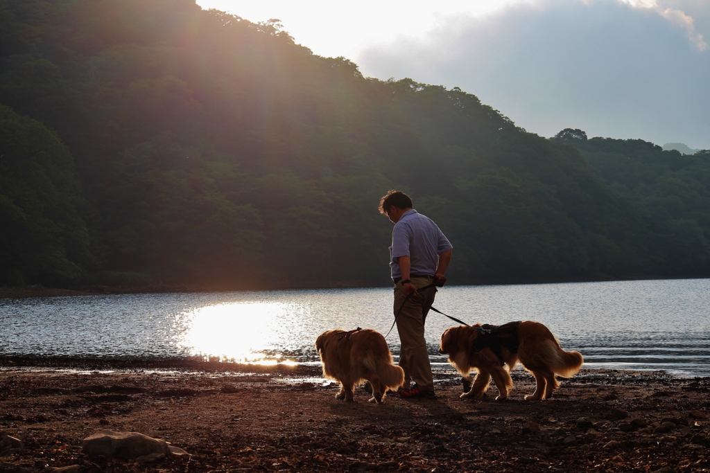 f:id:JKazy:20160807220316j:plain