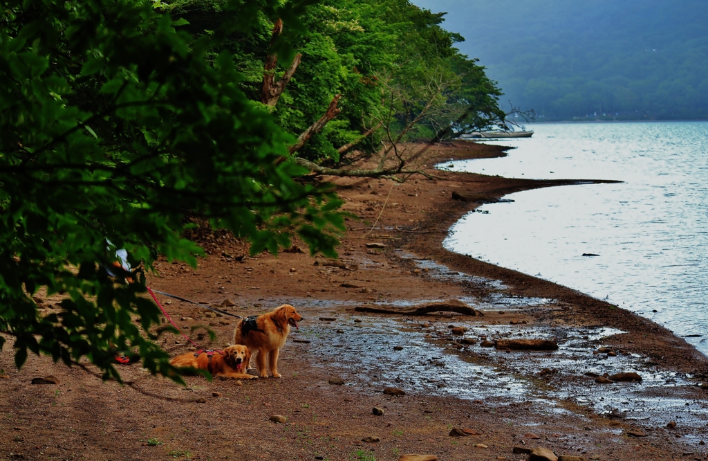 f:id:JKazy:20160807220516j:plain