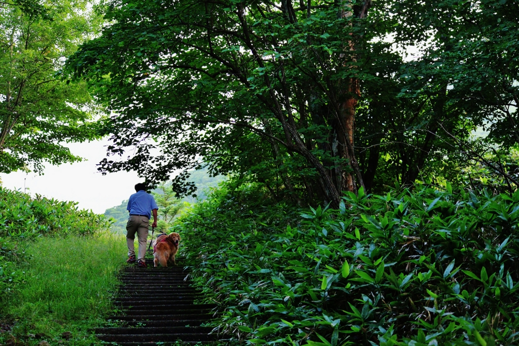 f:id:JKazy:20160807220624j:plain