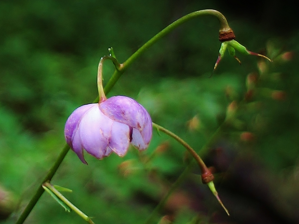 f:id:JKazy:20160823171838j:plain f:id:JKazy:20160823171838j:plain