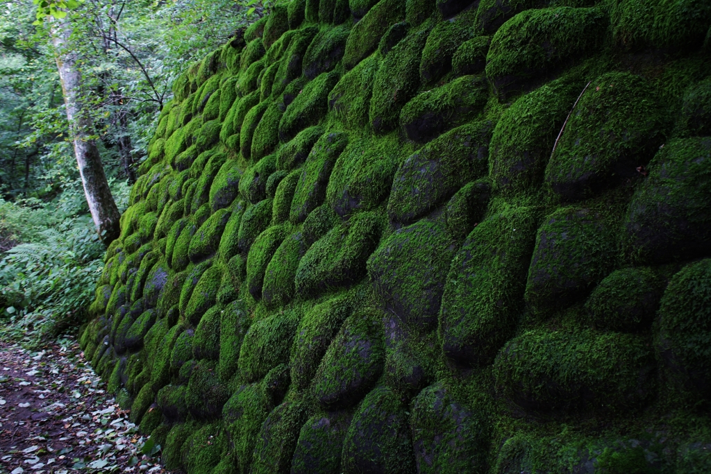 f:id:JKazy:20160823171955j:plain f:id:JKazy:20160823171955j:plain