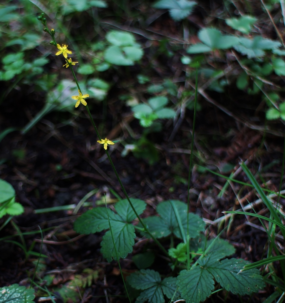 f:id:JKazy:20160823172057j:plain f:id:JKazy:20160823172057j:plain