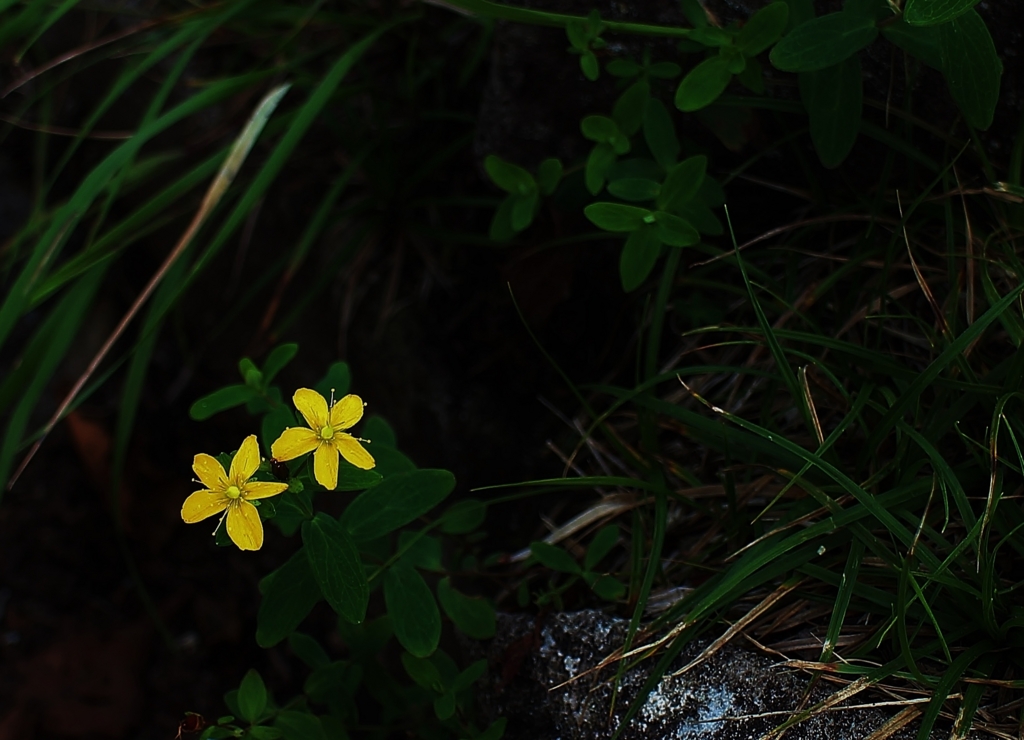 f:id:JKazy:20160902214021j:plain f:id:JKazy:20160902214021j:plain