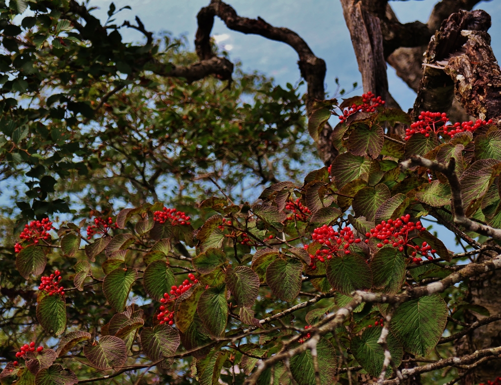 f:id:JKazy:20160902214043j:plain f:id:JKazy:20160902214043j:plain