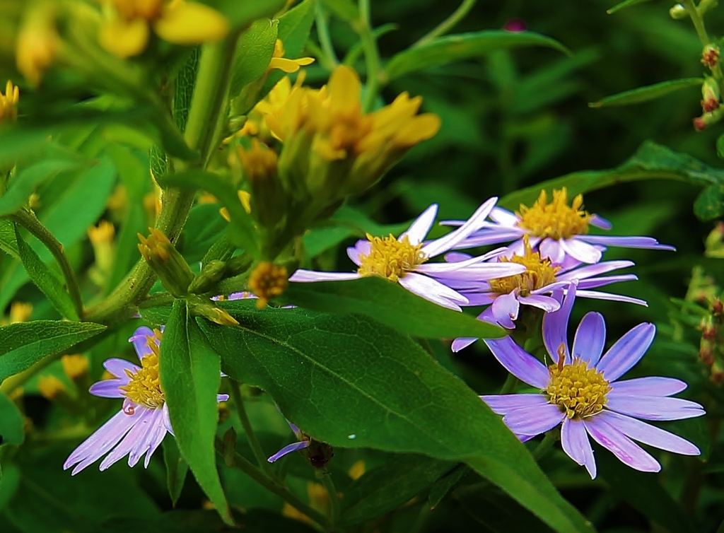 f:id:JKazy:20160902214343j:plain f:id:JKazy:20160902214343j:plain