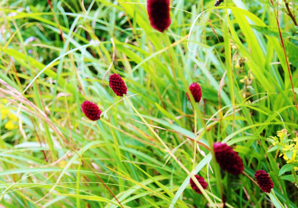 f:id:JKazy:20160902214441j:plain f:id:JKazy:20160902214441j:plain