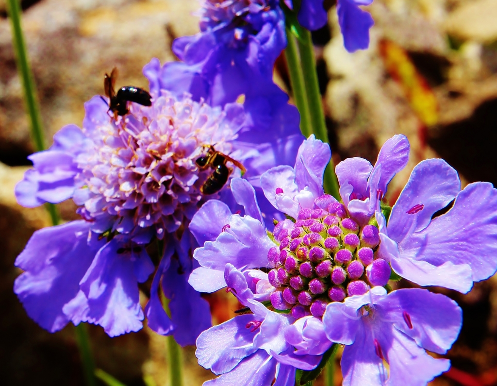 f:id:JKazy:20160910003039j:plain