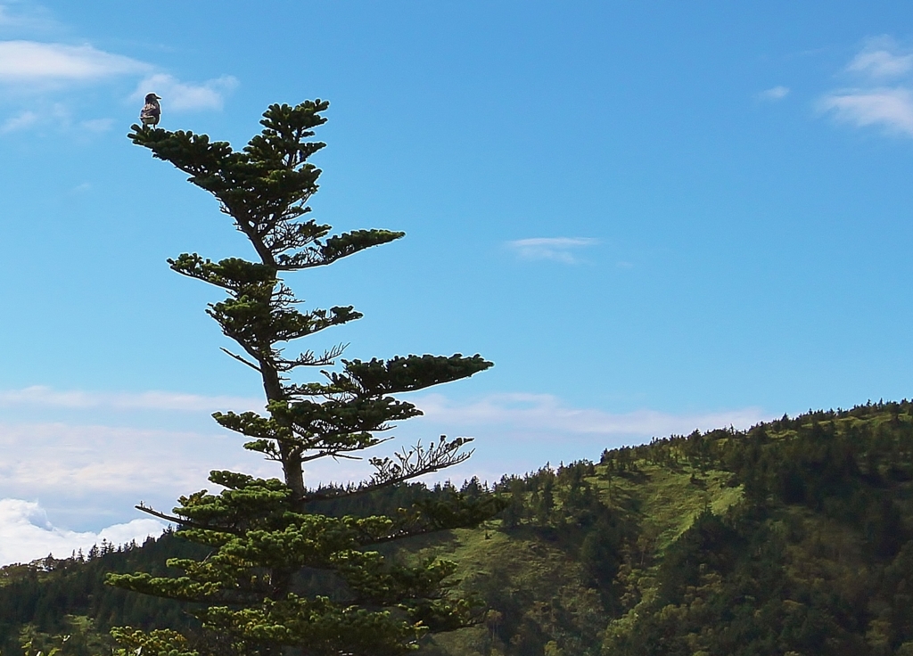 f:id:JKazy:20160910003303j:plain