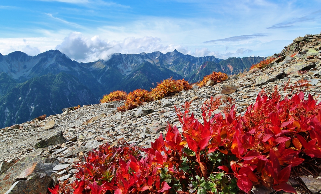 f:id:JKazy:20160916013123j:plain f:id:JKazy:20160916013123j:plain