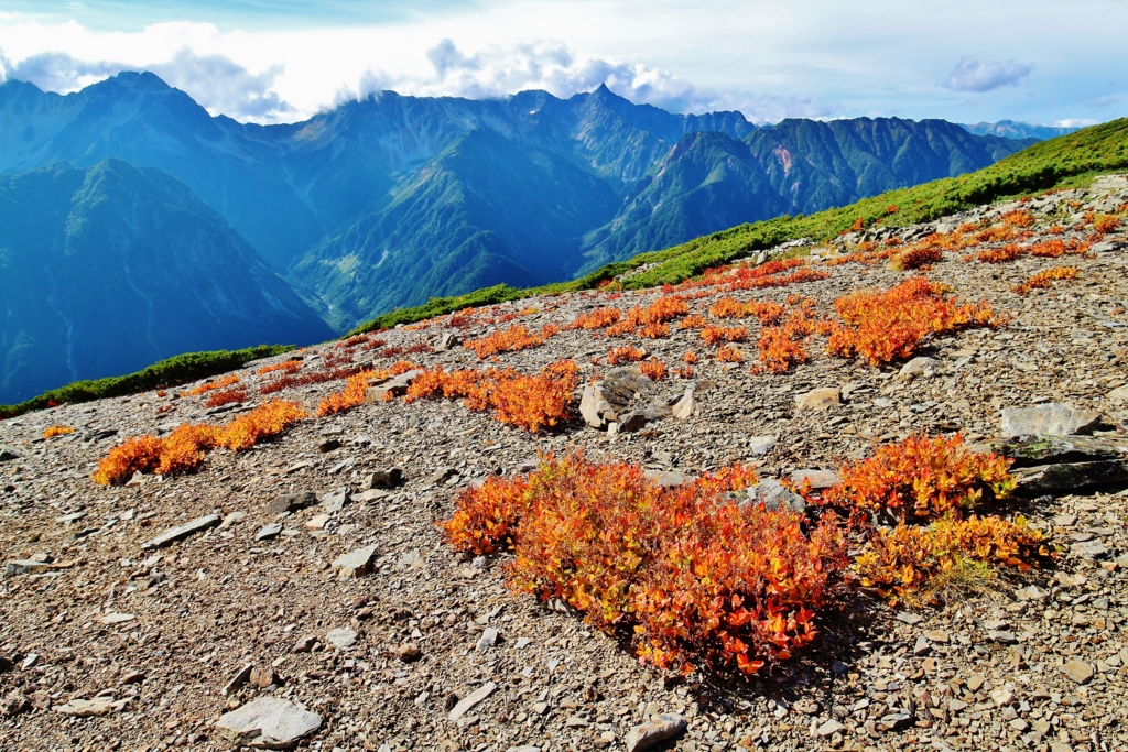 f:id:JKazy:20160916014403j:plain f:id:JKazy:20160916014403j:plain