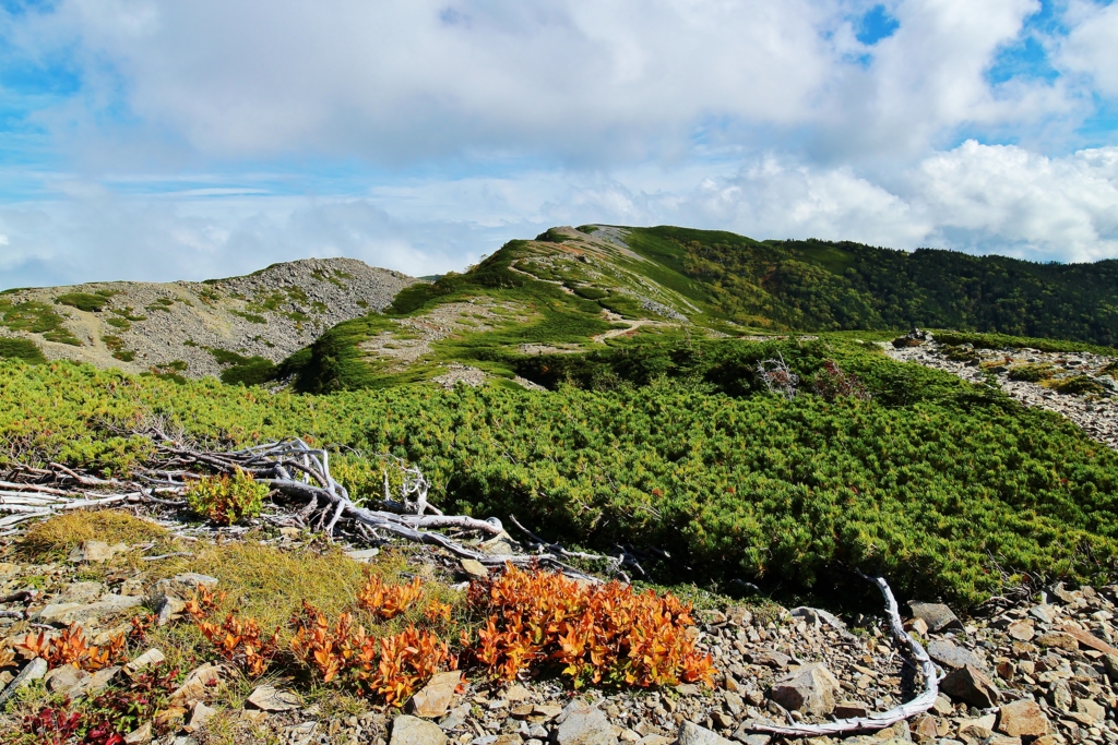 f:id:JKazy:20160916014534j:plain f:id:JKazy:20160916014534j:plain