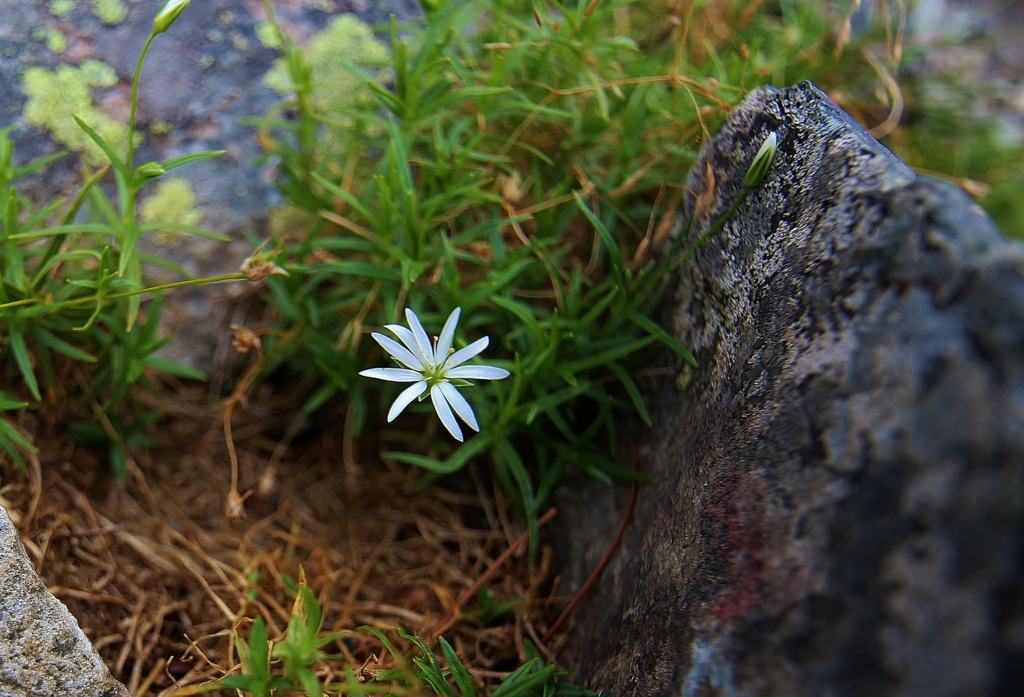 f:id:JKazy:20160916014641j:plain f:id:JKazy:20160916014641j:plain