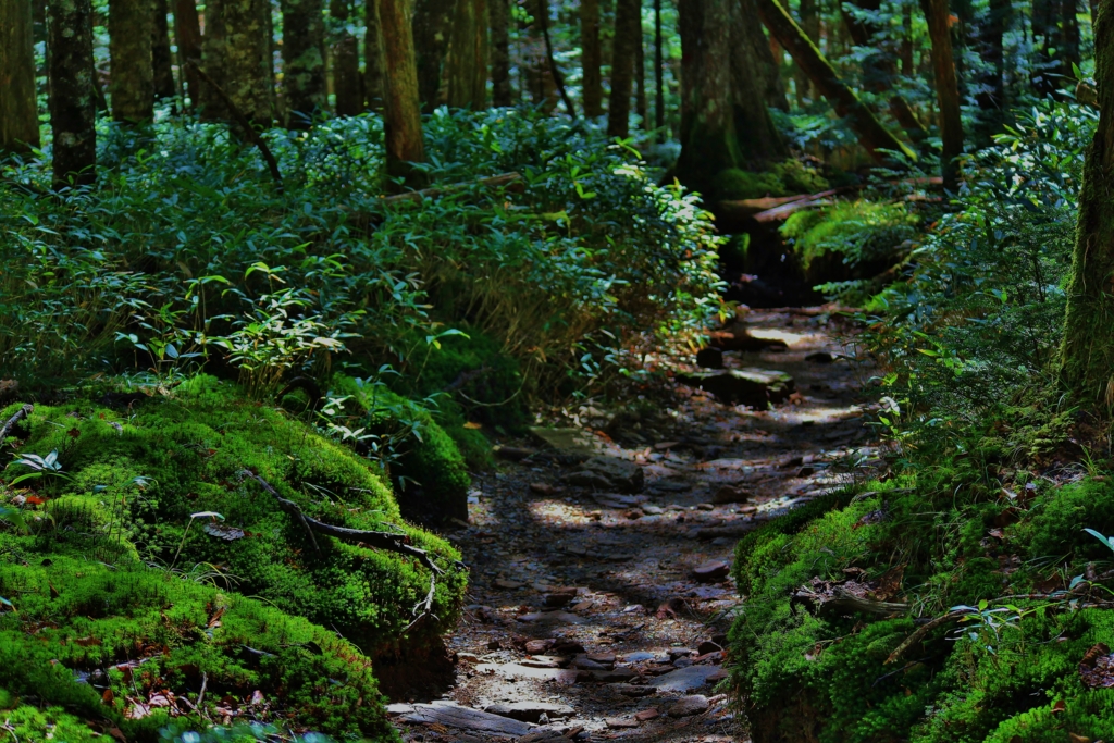 f:id:JKazy:20161006235522j:plain f:id:JKazy:20161006235522j:plain