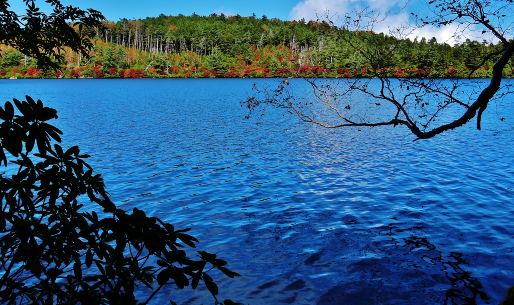 f:id:JKazy:20161006235739j:plain f:id:JKazy:20161006235739j:plain