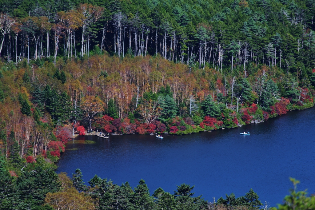 f:id:JKazy:20161006235818j:plain f:id:JKazy:20161006235818j:plain