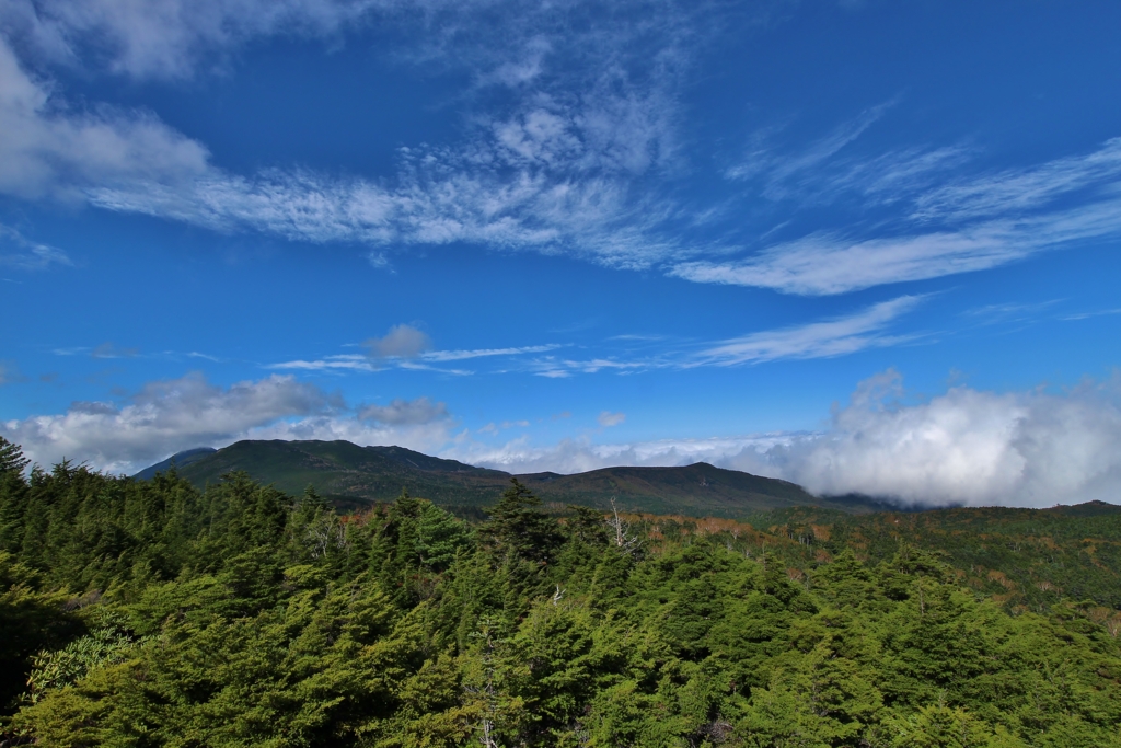 f:id:JKazy:20161006235929j:plain f:id:JKazy:20161006235929j:plain