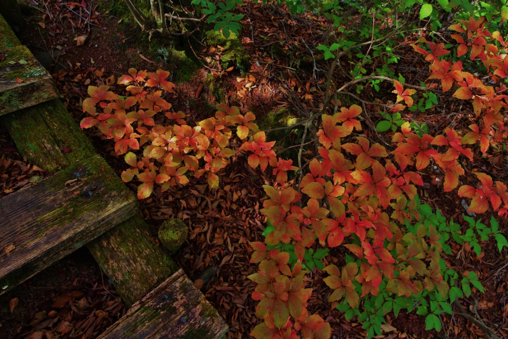 f:id:JKazy:20161014234840j:plain f:id:JKazy:20161014234840j:plain