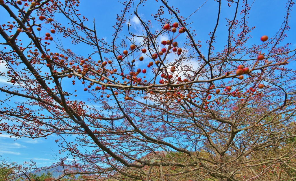 f:id:JKazy:20161015002559j:plain f:id:JKazy:20161015002559j:plain