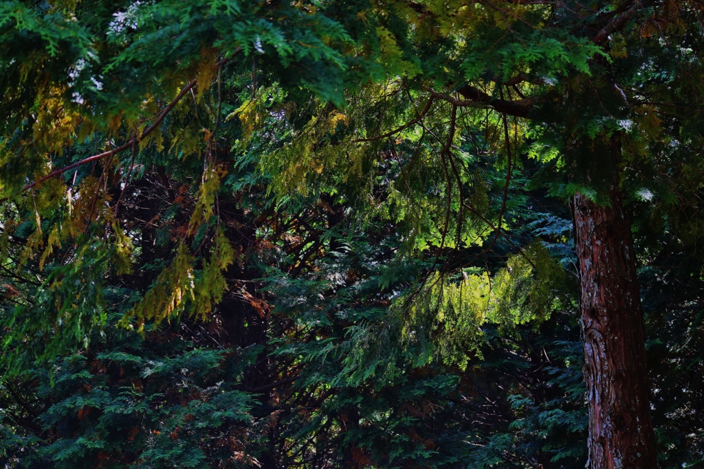 f:id:JKazy:20161015003323j:plain f:id:JKazy:20161015003323j:plain