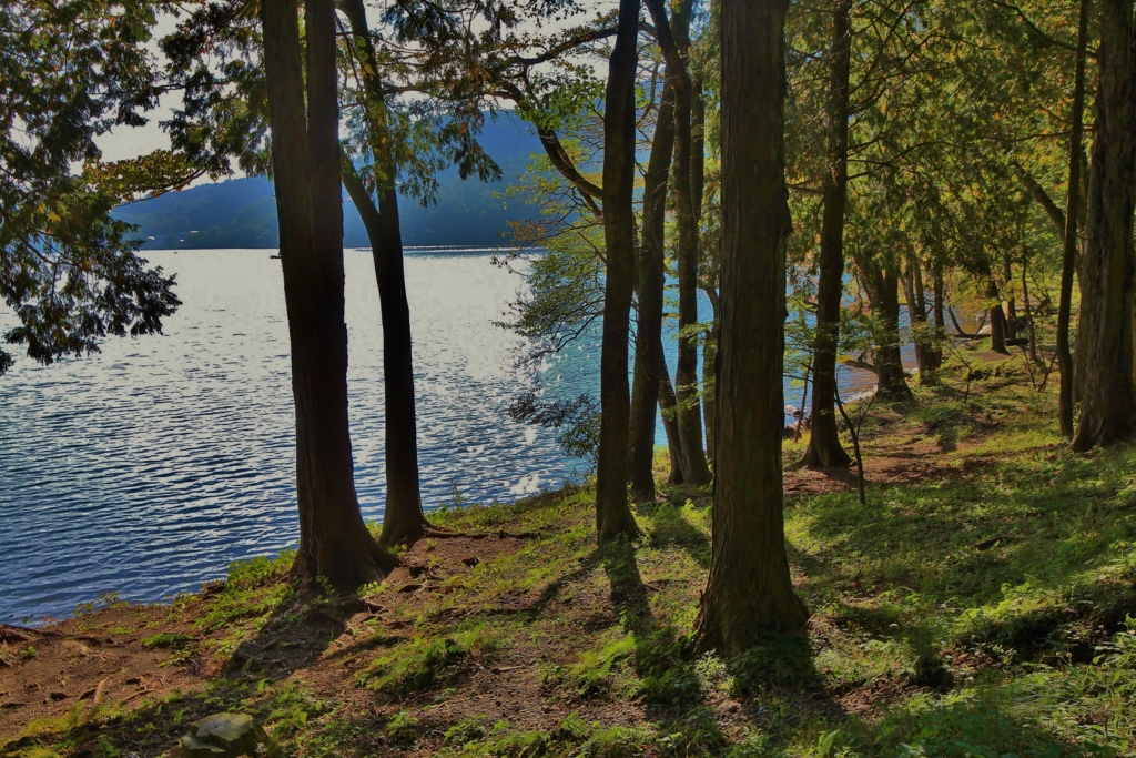 f:id:JKazy:20161015085833j:plain f:id:JKazy:20161015085833j:plain