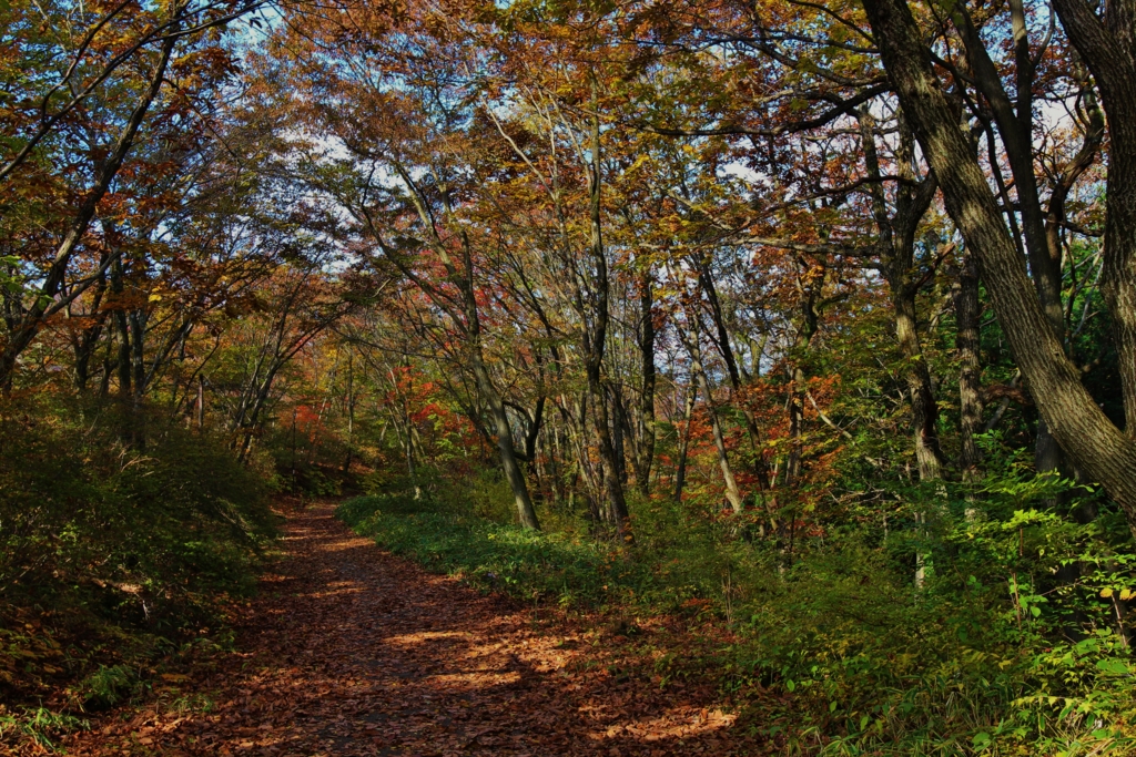 f:id:JKazy:20161106220736j:plain