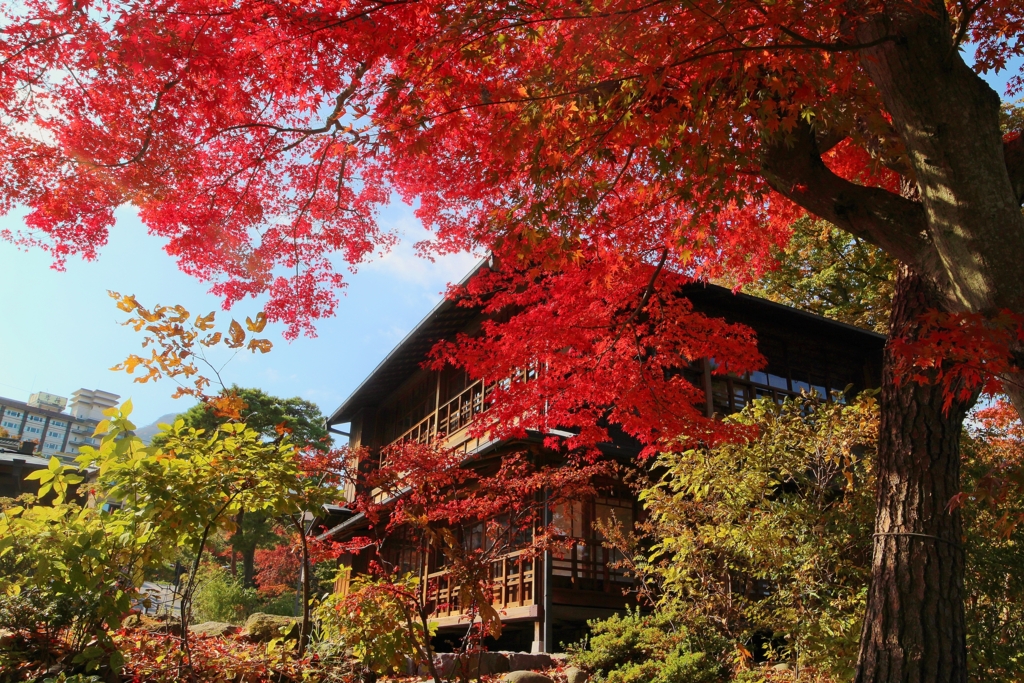 f:id:JKazy:20161106223418j:plain