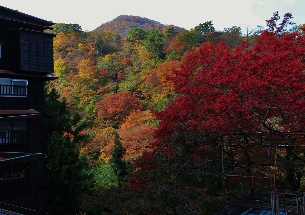 f:id:JKazy:20161107092053j:plain