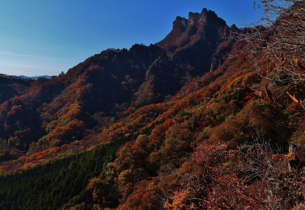 f:id:JKazy:20161117192523j:plain