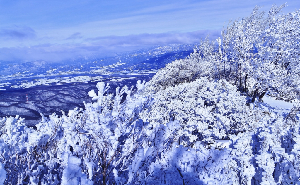 f:id:JKazy:20170106235730j:plain f:id:JKazy:20170106235730j:plain