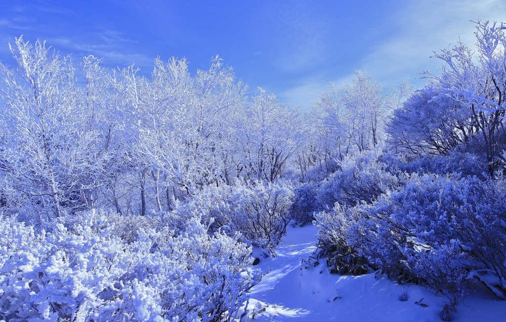 f:id:JKazy:20170106235916j:plain f:id:JKazy:20170106235916j:plain