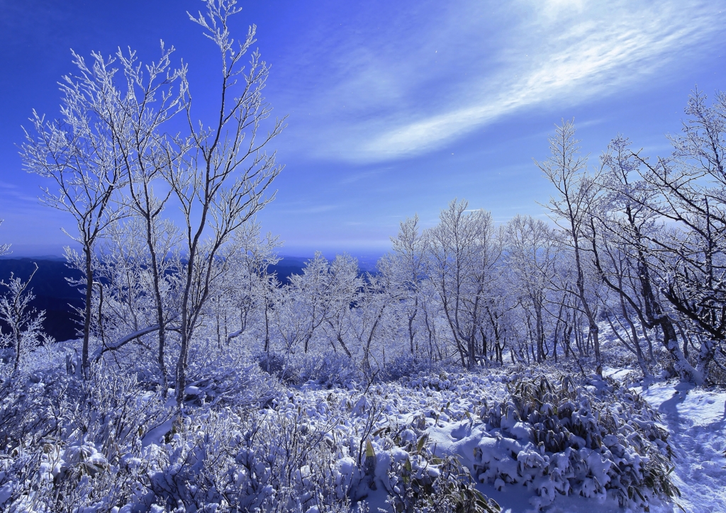 f:id:JKazy:20170107000104j:plain f:id:JKazy:20170107000104j:plain