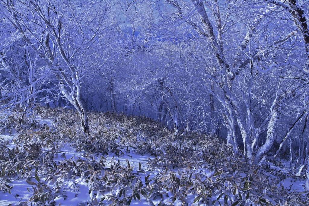 f:id:JKazy:20170107000348j:plain f:id:JKazy:20170107000348j:plain