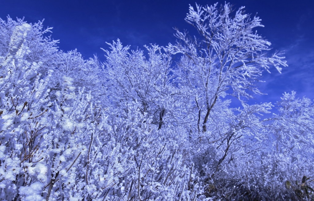 f:id:JKazy:20170107000709j:plain f:id:JKazy:20170107000709j:plain