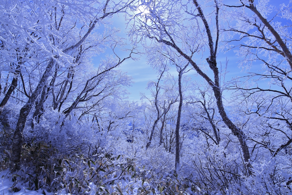 f:id:JKazy:20170107000917j:plain f:id:JKazy:20170107000917j:plain