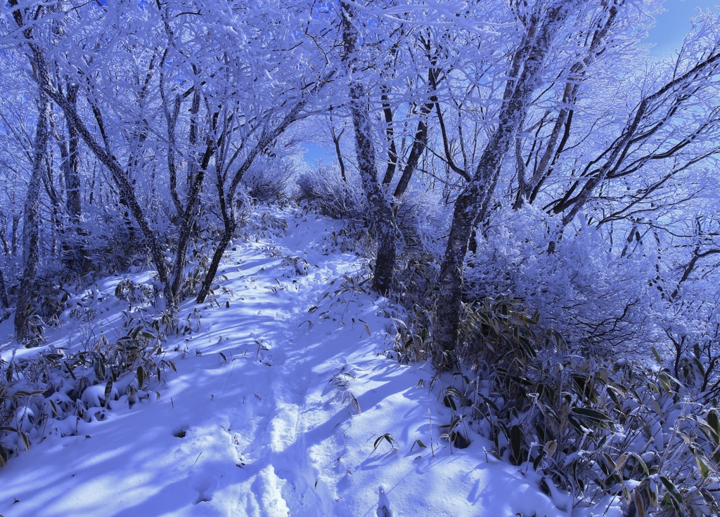 f:id:JKazy:20170107001223j:plain f:id:JKazy:20170107001223j:plain