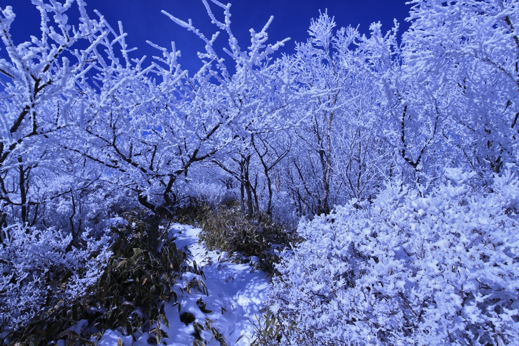 f:id:JKazy:20170107001937j:plain f:id:JKazy:20170107001937j:plain